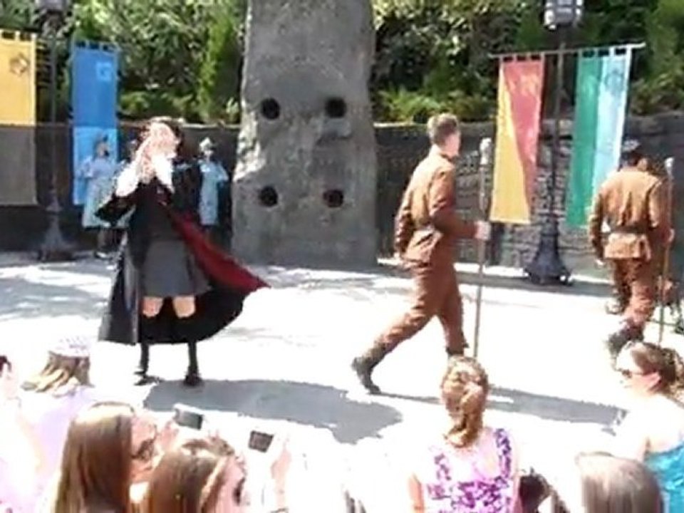 The wizarding world of Harry Potter