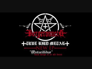 Bergeronneth - The Black Winged Creature