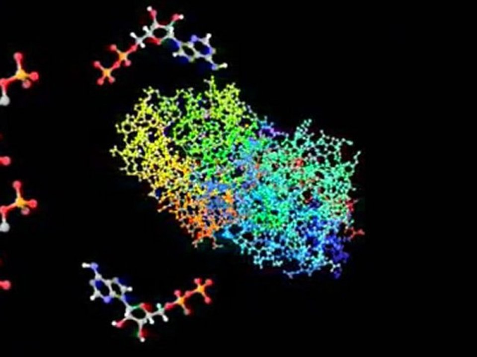 Glycolysis