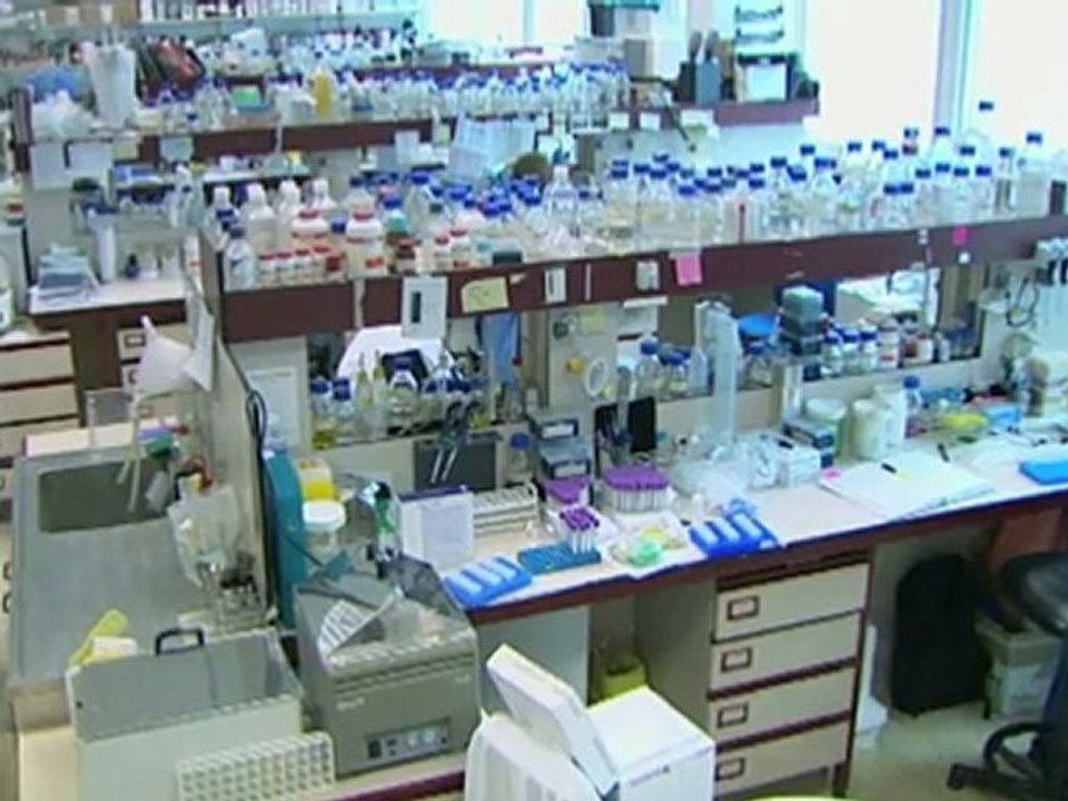 Stem cells the future of medicine?