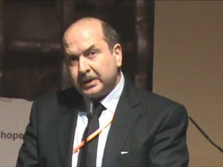 Conference internationale pour le droits des prisonniers palestiniens (4)