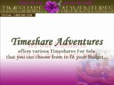 Various Timeshares For Sale