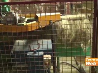 Lin 2000 valorise les étoupes du lin en laine isolante