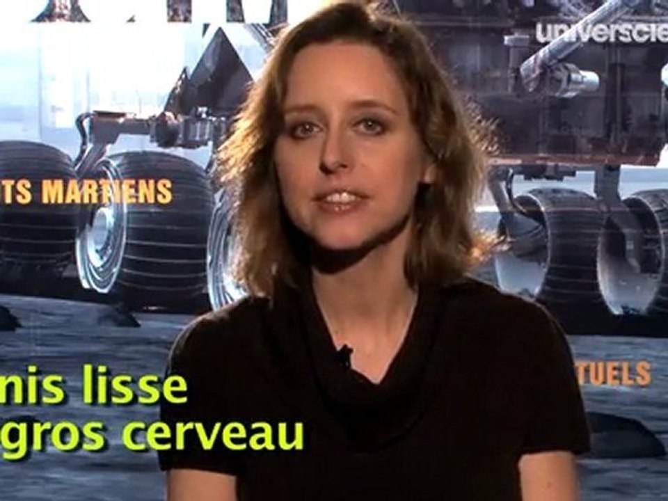 Bouddhas, robots et mémoire