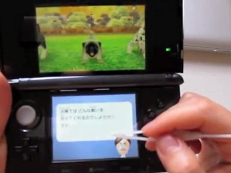 Le XStylus 3DS sur Nintendogs+cats