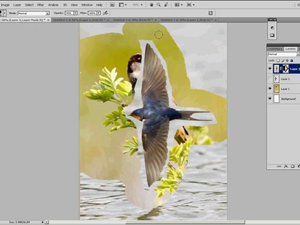 Selections & Masking in Photoshop