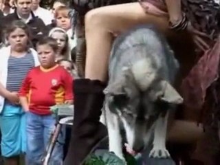 Soon & Shanka, entre femmes et loups