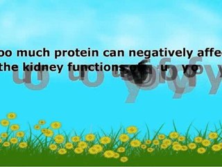 What Do Turtles Eat?