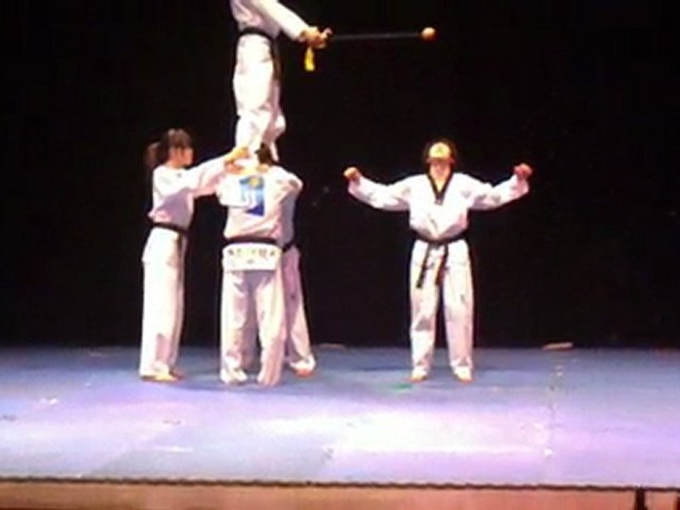 Tai Kwan Do Display at Orientation - video Dailymotion