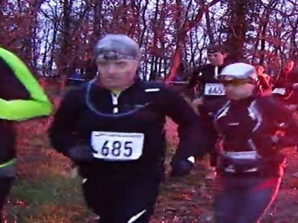 Forest Trail 2011
