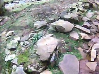 Premier jour du Printemps