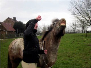 Visite de Tiffany chez Susu