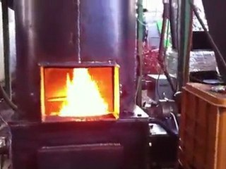 Multi combustible boiler