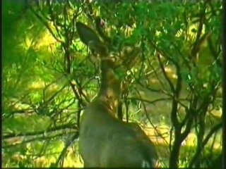 CONNAÎTRE DIEU PAR LA RAISON 1/2