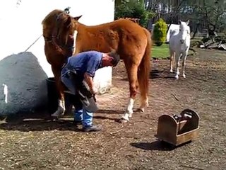 2011 Ben maréchal ferrant