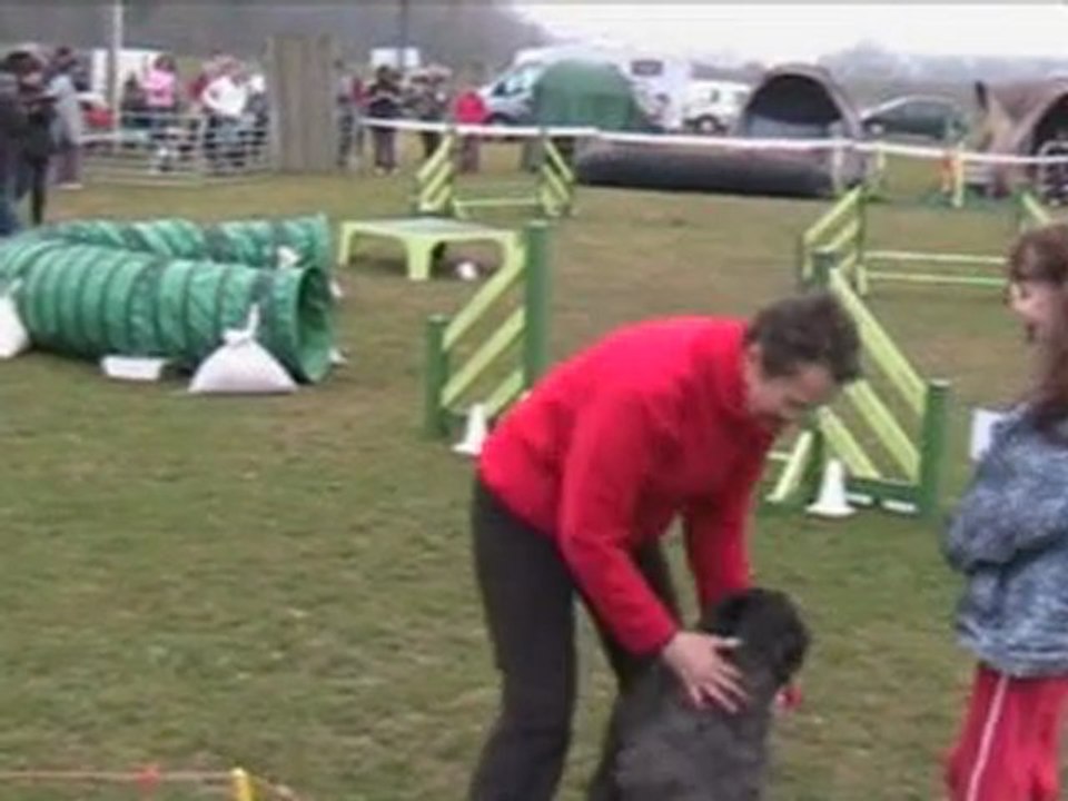 Premier concours agility - Open