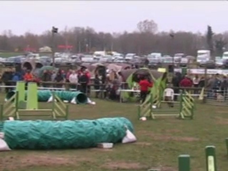 Premier concours agility - JUMPING