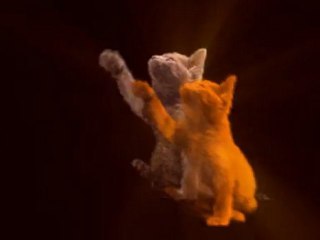 cat audio beat with shine  (After Effects CS4)