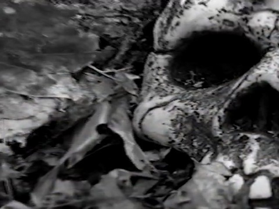 Die schlafende Stadt Buchtrailer