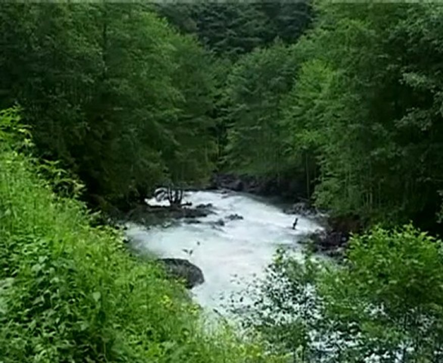 lazibore fındıklı Rize