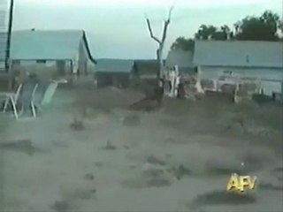 köpeğin yaptığına bak @ Mehmet ali arslan YAYINLARI