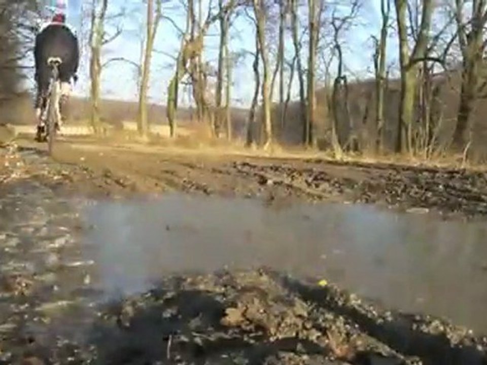 Cyclocross - Wienerwald