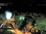 Guide Demon's Souls HD FR 013