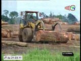Brazzaville va abriter une réunion sur l'industrie du bois au Congo.