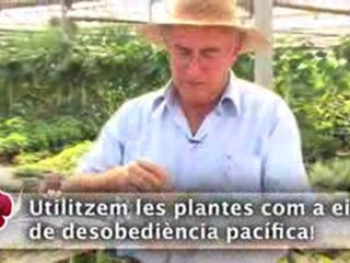 Entrevista a Josep Pàmies. 12 vídeos de reflexions i opinions i 19 sobre plantes medicinals!
