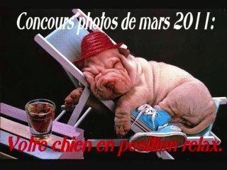 Concours photos de mars 2011