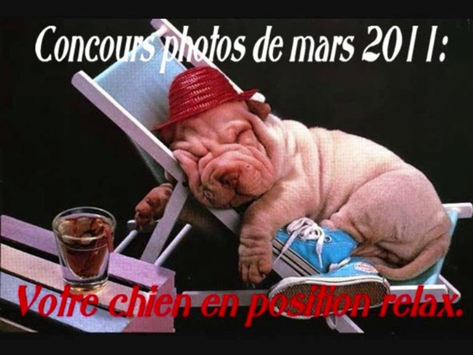 Concours photos de mars 2011
