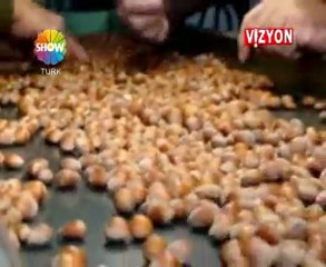 VİZYON TÜRK / ORDU TİCARET BORSASI BAŞKANI