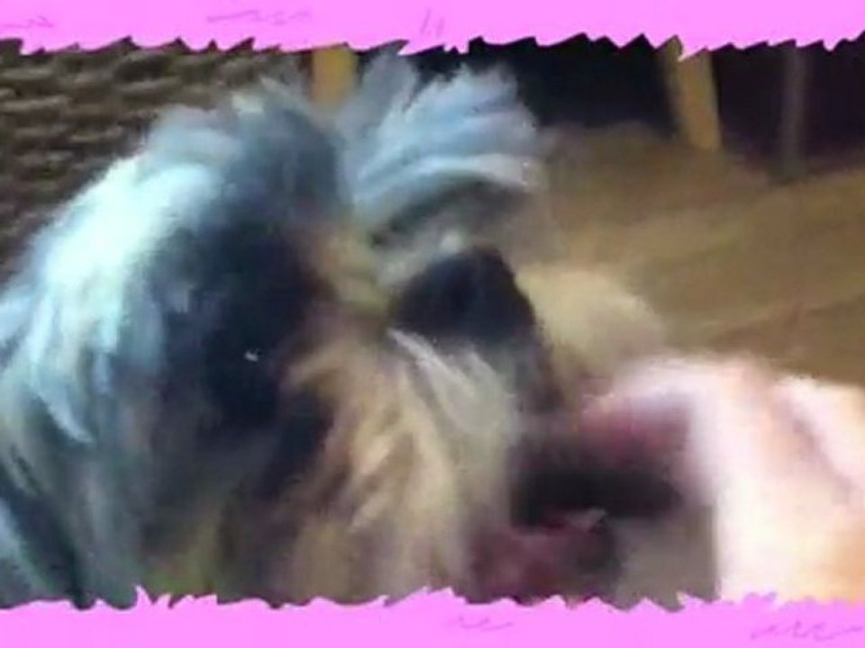 Ben Monster Sings Just Like Rebecca Black! - Number One ...