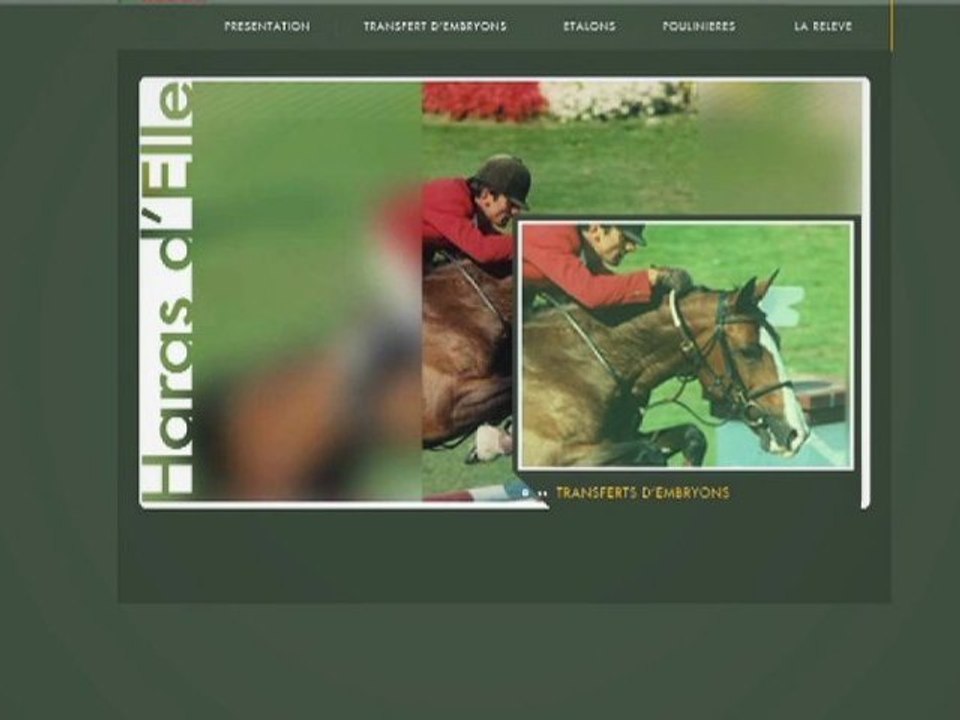 Graphisme Web