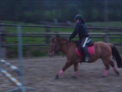 Flocon jeanne CSO 19-03-11