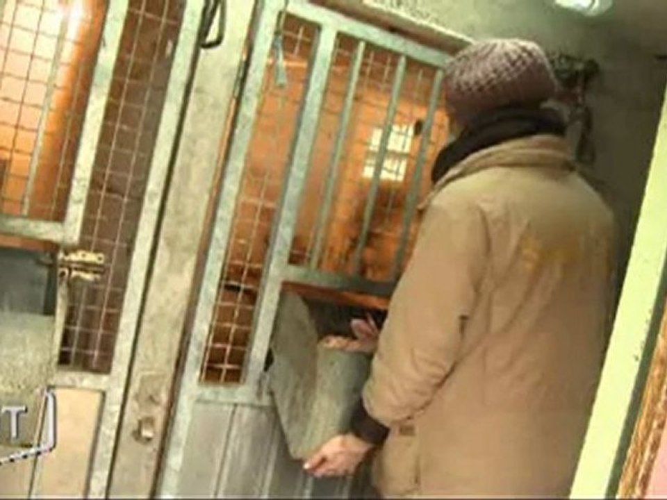 Perrine Marotel, soigneur animalier (Les Sables d'Olonne)