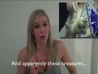 THE SLOW LORIS OPERA