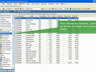 ebp pgi ligne pme - barre de menus gauche avec commentaires