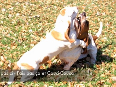 VACANCES DES AMES TRANQUILLES