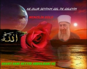 Seyyid Veysel Ekinci Sensiz Olur Mu