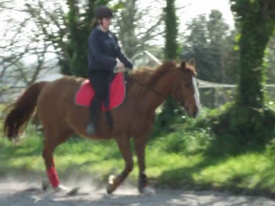 séance a cru le 22/03/2011