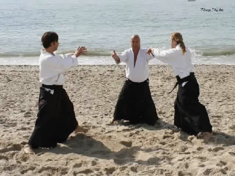 Montpellier Ecole Aïkido EPA-ISTA stages  André Bouillon 14/15mai et 21 mai 2010/2011