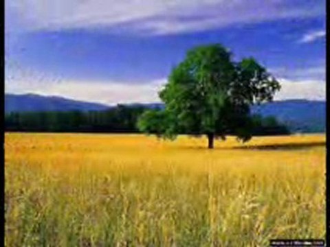 üflediler söndüm murat toraman