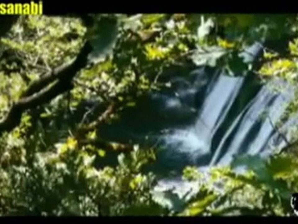 AYNUR DOĞAN QURMİKE