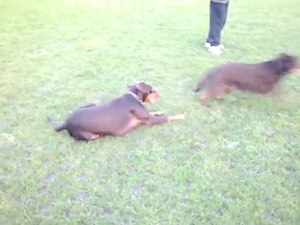 Bibi et Timon le 22 03 11