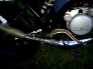 top rose au point mort