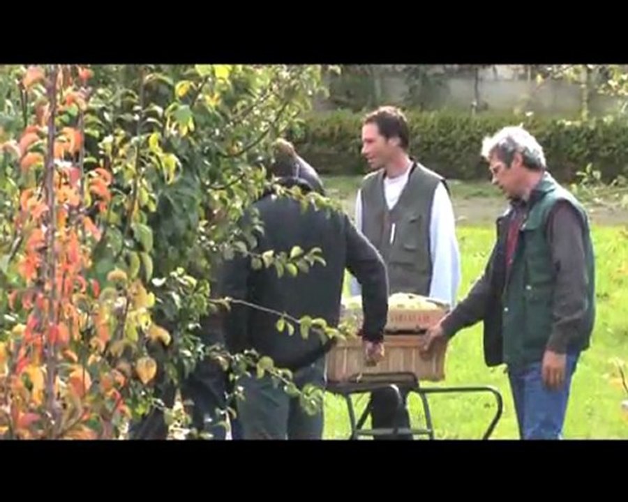 FemininBio en direct du potage du roi !