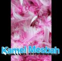 KAMEL MESBAH -LEMER UR MEHKIGH