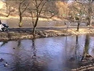 Antonio Vivaldi-Wiosna