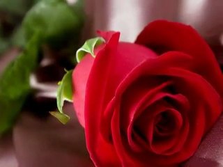 Love  Is A Many Splendored Thing  PLAY 480p FULLSCREEN.